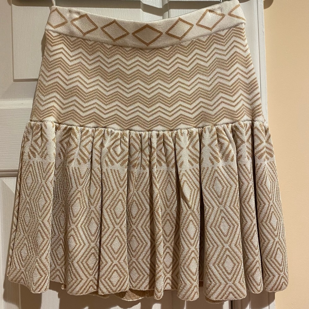 Stylish skirt by Torn by Ronny Kobo